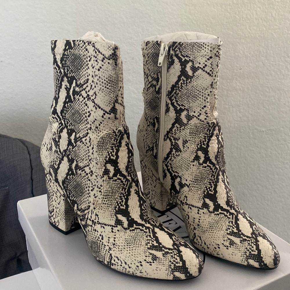 Steve Madden Snake Booties
